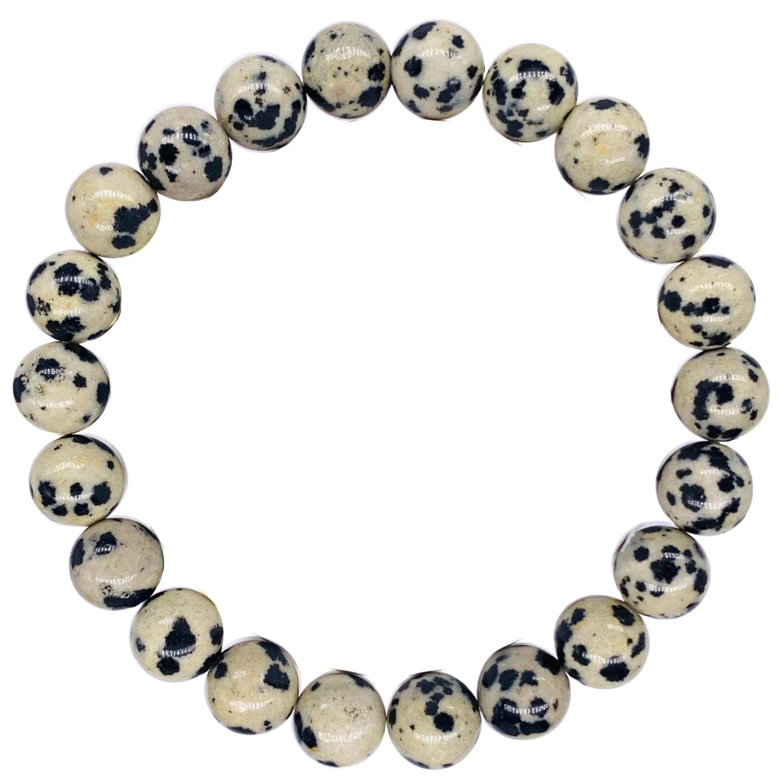 Dalmatian Jasper Beaded Crystal Bracelet