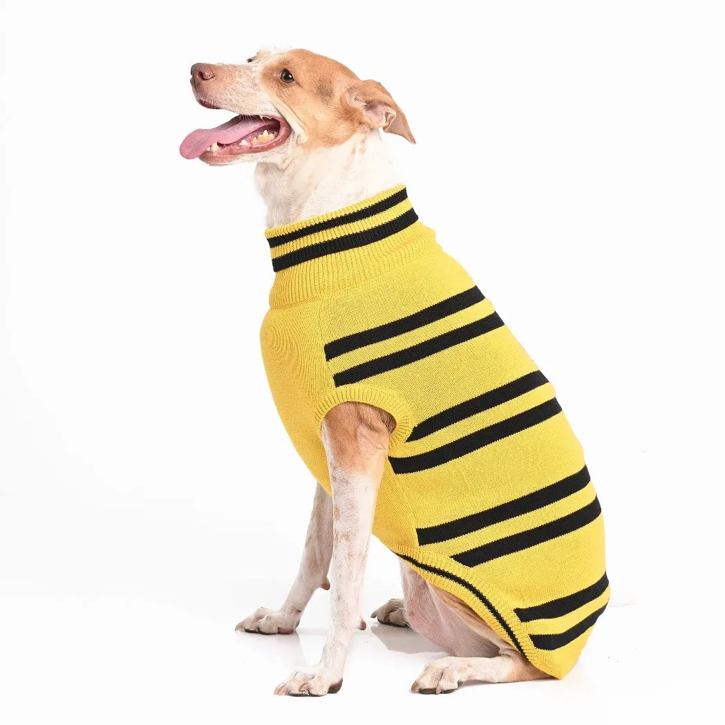 Harry Potter - HufflePuff Dog Sweater