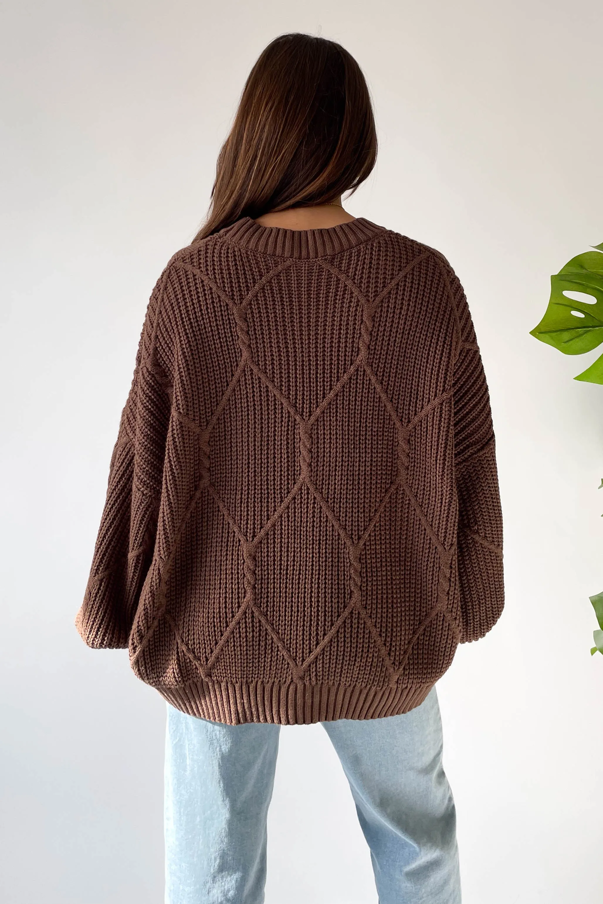 Logan Oversized Sweater in Brown