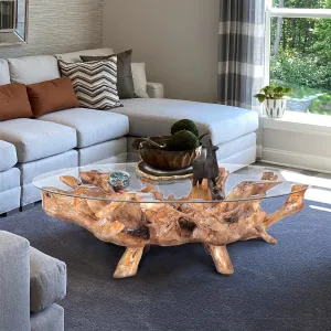 Teak Wood Root Coffee Table including a 63" Round Glass Top